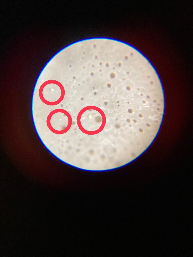 仕上げ材のクリスタルシーズン®を壁に塗布します。赤丸部分が銀と銅の粒子となります。