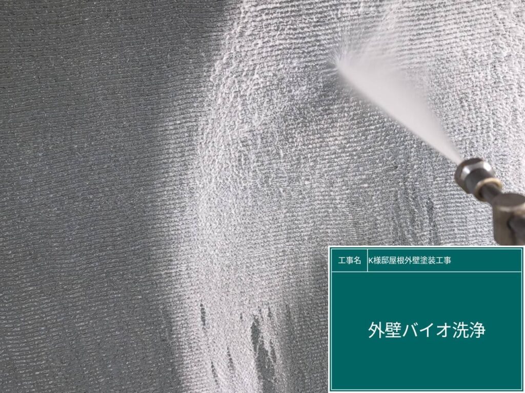 外壁バイオ洗浄